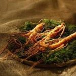 人参的食用方法和用量 人参的吃法和功效