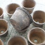用瓦盆养花好吗？ 瓦盆的优、缺点分析