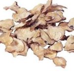 附子有什么功效与禁忌-附子的禁忌2021