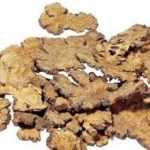 川芎的食用方法 2021食用川芎的注意事项