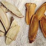 炙甘草和甘草的区别 那个更好呢