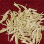 峨参有什么作用 峨参的功效