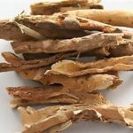 五加皮的功效和作用 五加皮的功效和作用及禁忌