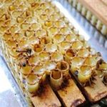 蜂乳有什么副作用 蜂乳的禁忌