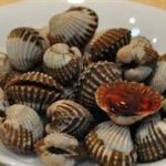 蚶有什么功效 蚶的功效与作用