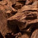 沉香的功效和作用2021 沉香的禁忌