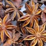 八角茴香的禁忌和副作用 八角茴香的禁忌