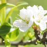 正确喝水能养生 盘点4个错误喝水的方法