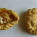 紫河车有什么作用 紫河车的功效与作用2021