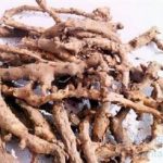 穿山龙有什么药用价值 穿山龙的药用价值