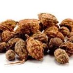 益智仁的功效和作用2021 益智仁泡水的功效