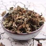 仙鹤草的功效和作用2021 仙鹤草的禁忌