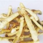 玉竹的功效和作用 玉竹的禁忌