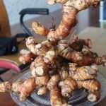 山姜有什么食用方法 山姜的食用方法