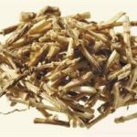 芦根的用量是多少 芦根的用量