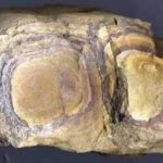 禹余粮的用法用量 禹余粮的用量