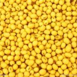 黄豆的禁忌2021 黄豆有哪些禁忌