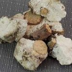 茯神有什么功效 茯神的功效与作用2021最新详情