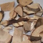 五倍子有什么功效与作用 五倍子的功效与作用2021最新详情