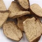 白药子的功效和作用 白药子的禁忌