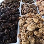 紫河车有什么副作用 紫河车的副作用及禁忌2021