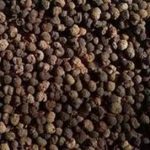 棕榈子有什么功效 棕榈子的功效与作用