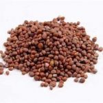 莱菔子的功效和作用2021 莱菔子泡水的功效