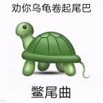 鳖尾曲什么意思？ 一头雾水的你进来涨涨姿势