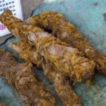 狗脊的用量多少克-狗脊的用法与用量