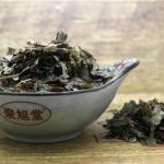 凤尾七有什么功效 凤尾七的功效与作用