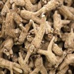 百味参的功效 百味参的功效与作用