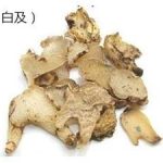 白芨的功效和作用2021 白芨的副作用