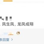 龙凤成翔什么意思？ 这梗指爸妈基因很好……