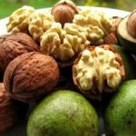 核桃仁的用量是多少 核桃仁的用法用量