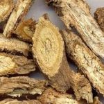 防风的用量多少克 防风的用法用量