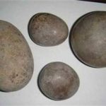 马宝的功效与作用 马宝的功效与作用2021最新详解