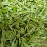 喝茶的副作用2021 喝茶的注意事项