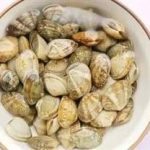 蛤蜊的功效与作用 蛤蜊的功效与作用及禁忌