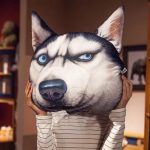 三高爱情是什么意思？一头雾水的你进来涨涨姿势