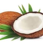 椰子的功效和作用 服用椰子的常见问题