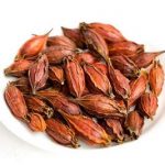 栀子的功效和作用 栀子的功效和作用及禁忌