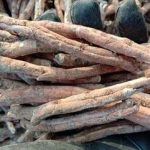 牡丹皮有什么功效 牡丹皮的功效与作用