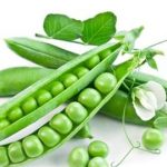 豌豆的营养价值2021 食用豌豆的母婴禁忌