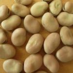 蚕豆的用量是多少克 蚕豆的用法用量