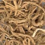 远志有哪些禁忌 远志的禁忌