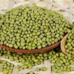 绿豆的用量每日多少克 绿豆的用量