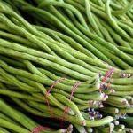 豇豆有什么禁忌 豇豆的禁忌人群