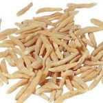 天冬的功效和作用 天冬的禁忌