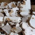 茯神怎么吃能治失眠 吃茯神好处竟然这么多