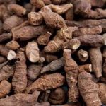 乌骨藤和什么一起抗癌 乌骨藤的功效与作用